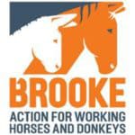 Brooke action for working horses and donkeys